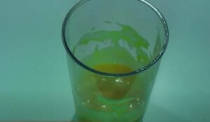Papaya Shake Recipe papaya smoothie recipe 10