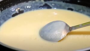 Chocolate Vanilla Ice Cream Recipe 3