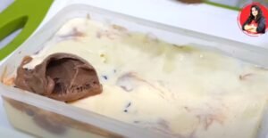 Chocolate Vanilla Ice Cream Recipe 8