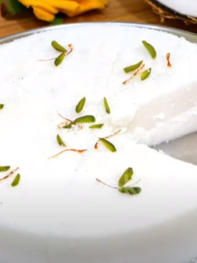 Coconut Pudding Recipe | Nariyal Pudding Recipe