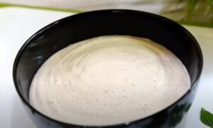 Rice Flour Idli Recipe 9