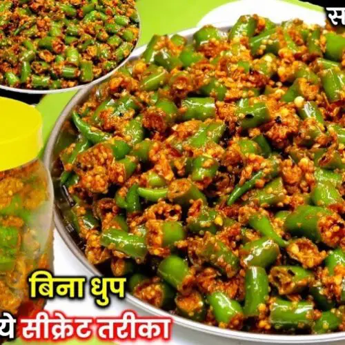 Hari Mirchi Ka Achar Recipe How To Make Hari Mirch Ka Achar Green